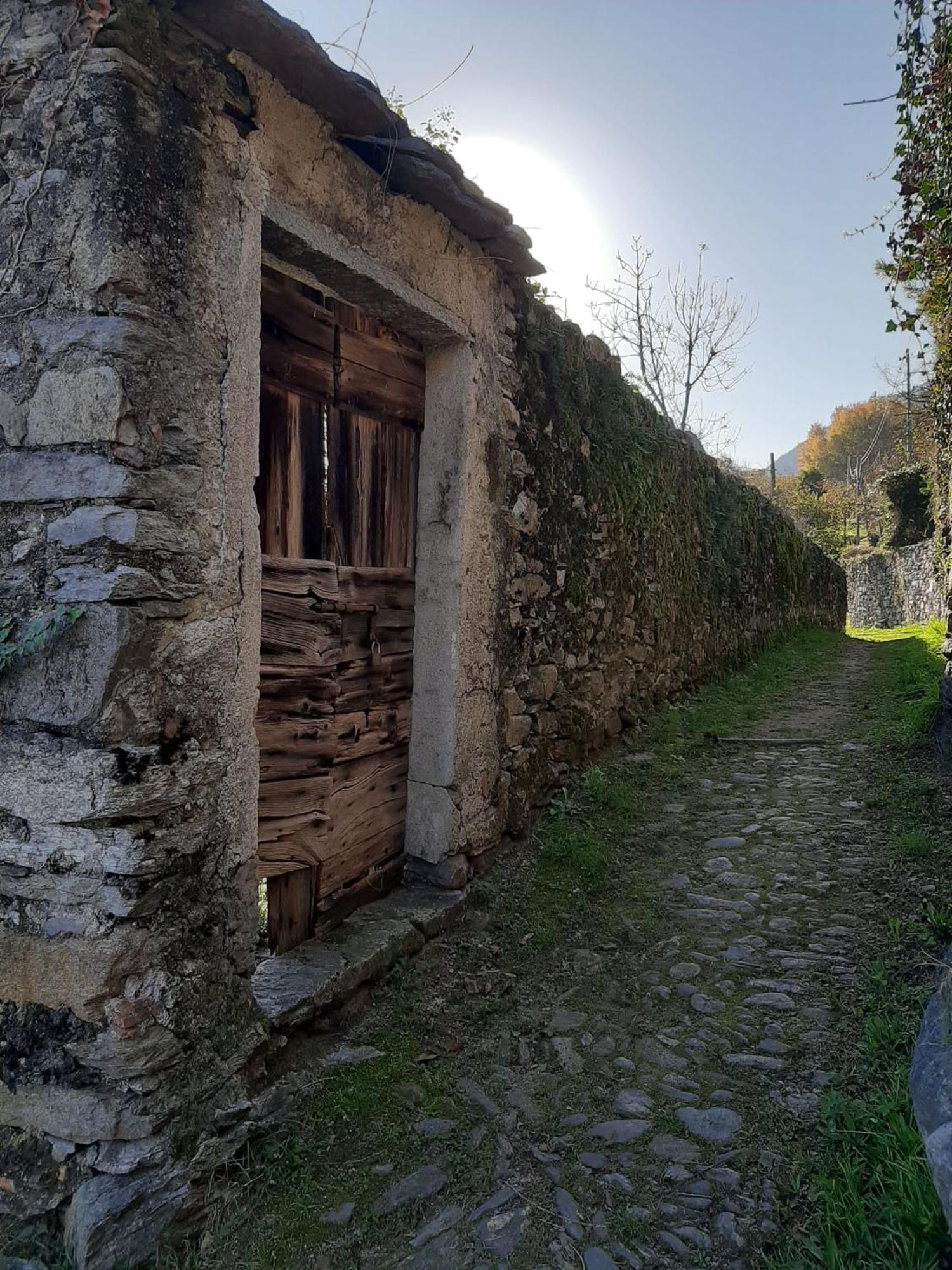 Ferienwohnung Residenza Le Camelie Oggebio Exterior foto